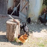 Startseite Startseite