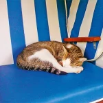 Startseite Startseite