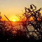 Startseite Startseite