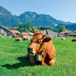 Startseite Startseite