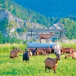 Startseite Startseite