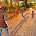 Startseite Startseite