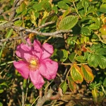 Startseite Startseite