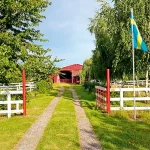 Startseite Startseite