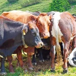 Startseite Startseite