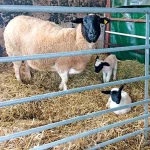 Startseite Startseite