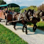 Startseite Startseite