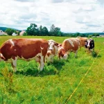 Startseite Startseite