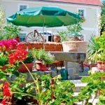 Startseite Startseite