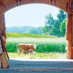 Startseite Startseite