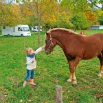 Startseite Startseite