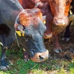 Startseite Startseite