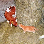 Startseite Startseite