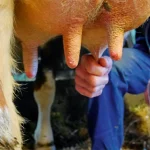 Startseite Startseite