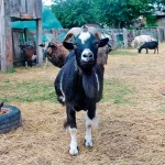 Startseite Startseite