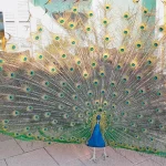 Startseite Startseite