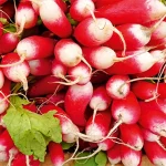 Startseite Startseite