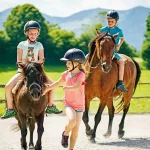 Startseite Startseite