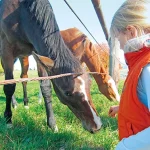 Startseite Startseite