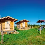 Startseite Startseite