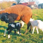 Startseite Startseite