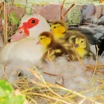 Startseite Startseite