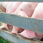 Startseite Startseite