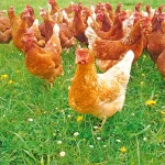 Startseite Startseite