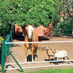 Startseite Startseite