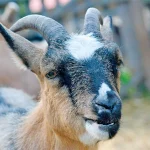 Startseite Startseite