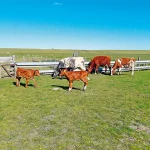 Startseite Startseite