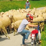 Startseite Startseite