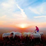 Startseite Startseite