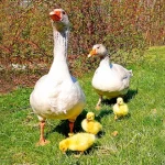 Startseite Startseite