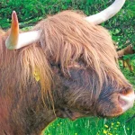 Startseite Startseite