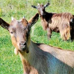 Startseite Startseite