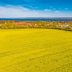 Startseite Startseite