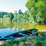 Startseite Startseite