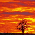 Startseite Startseite