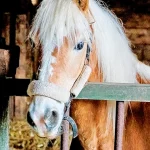 Startseite Startseite