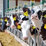 Startseite Startseite