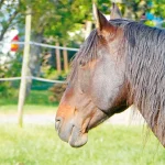 Startseite Startseite