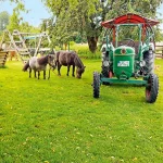 Startseite Startseite