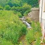 Startseite Startseite