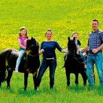 Startseite Startseite