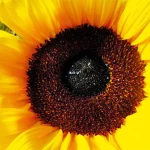 Startseite Startseite