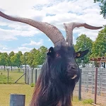 Startseite Startseite