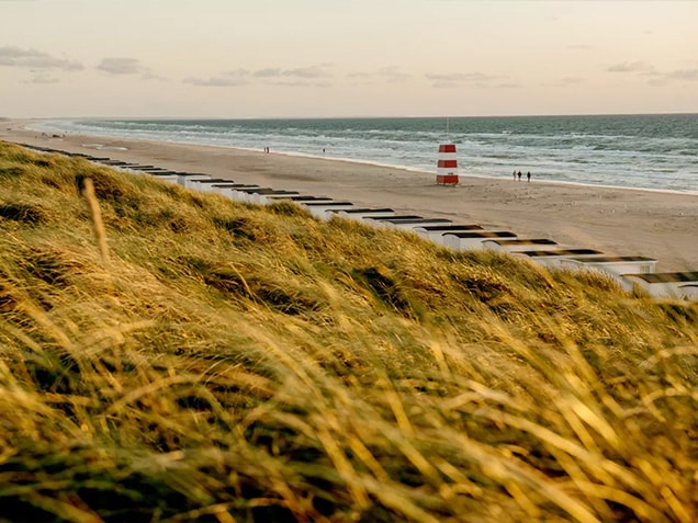Lokken_32272-Mette-Johnsen-Nordsee
